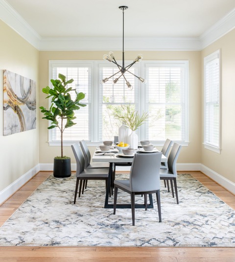 Transitional Breakfast Room with Fiddle Leaf Fig Tree