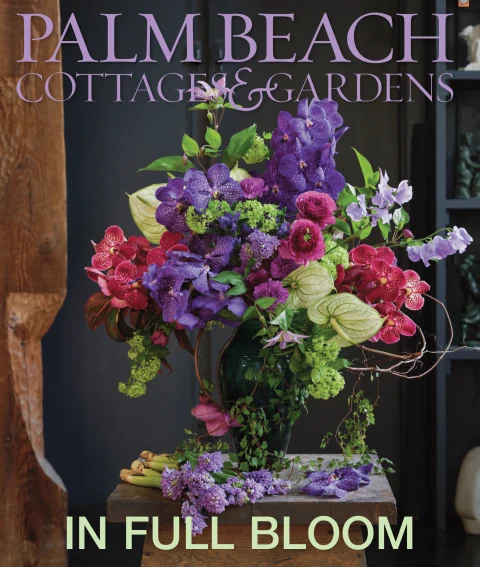 Interior-Design Interior Design