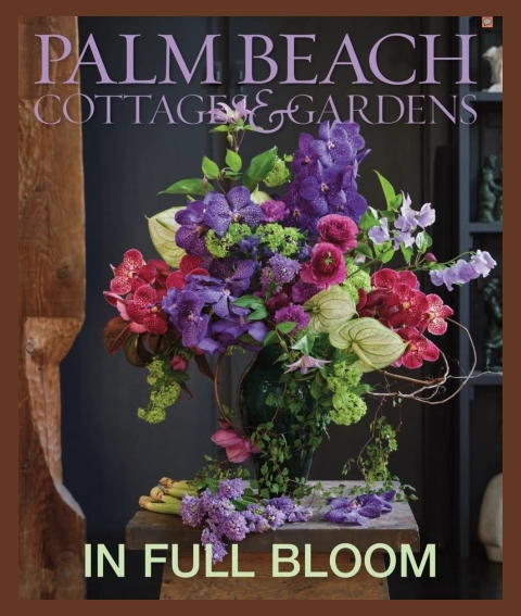 Interior-Design Interior Design